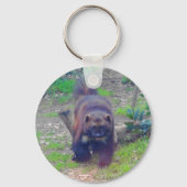 Wolverine #1 Schlüsselanhänger (Vorderseite)