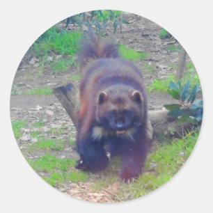 Wolverine #1 Stickers