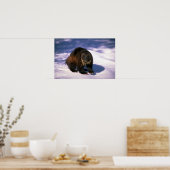 Wolverine im Schnee Poster (Küche)