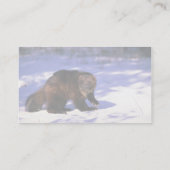 Wolverine im Schnee Visitenkarte (Rückseite)