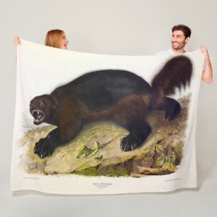 Wolverine oder Wolverene (Gulo gulo) von Audubon Fleecedecke