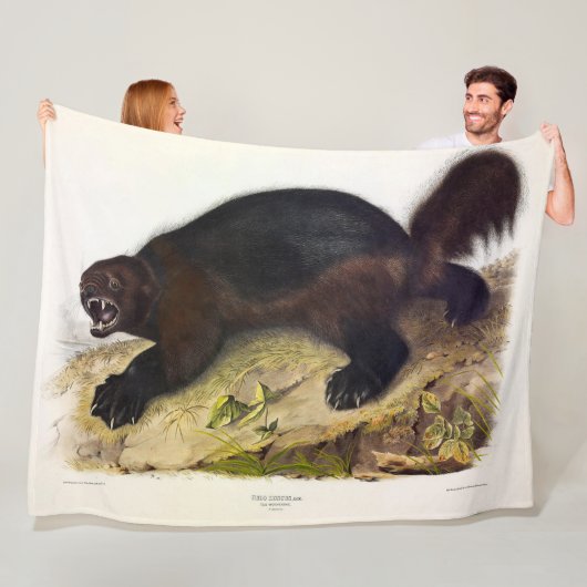 Wolverine oder Wolverene (Gulo gulo) von Audubon Fleecedecke (Beispiel)