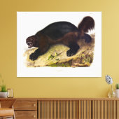 Wolverine oder Wolverene (Gulo gulo) von Audubon Leinwanddruck (Insitu (Wohnzimmer))