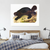 Wolverine oder Wolverene (Gulo gulo) von Audubon Leinwanddruck (Insitu (Schlafzimmer))