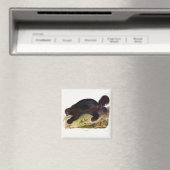 Wolverine oder Wolverene (Gulo gulo) von Audubon Magnet (In Situ (Geschirrspüler))