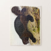 Wolverine oder Wolverene (Gulo gulo) von Audubon Puzzle (Vertikal)