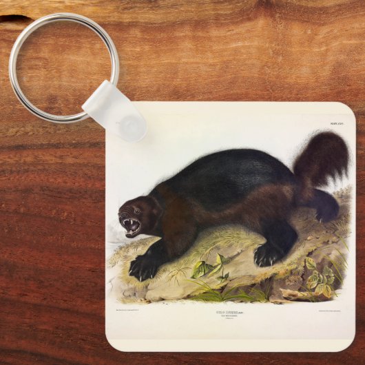Wolverine oder Wolverene (Gulo gulo) von Audubon Schlüsselanhänger (Vorderseite)