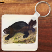 Wolverine oder Wolverene (Gulo gulo) von Audubon Schlüsselanhänger (Rückseite)