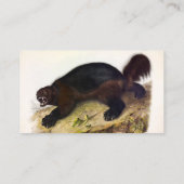 Wolverine oder Wolverene (Gulo gulo) von Audubon Visitenkarte (Rückseite)