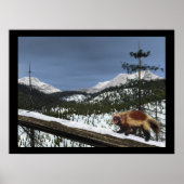 Wolverine Poster (Vorne)