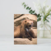 Wolverine Postkarte (Stehend Vorderseite)