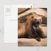Wolverine Postkarte (Vorne/Hinten)