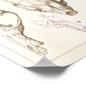 Wolverine Skull Veterinary Anatomy Print Poster (Ecke)