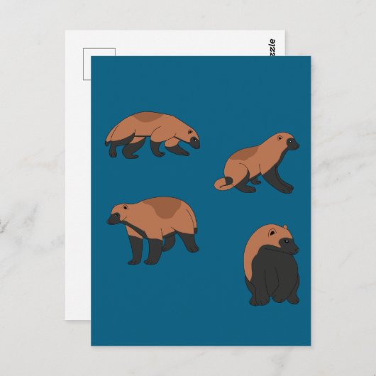 Wolverines Postkarte (Vorne/Hinten)