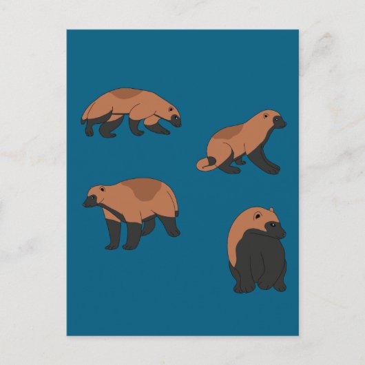 Wolverines Postkarte (Vorderseite)