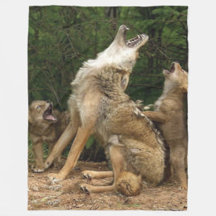 WOLVES FLEECEDECKE
