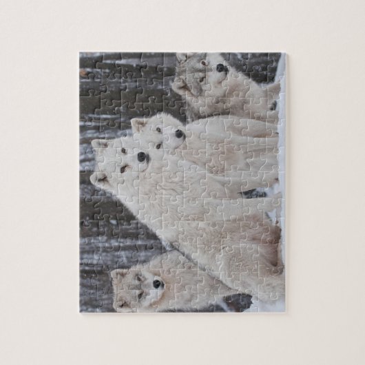 Wölves Game Puzzle (Vertikal)
