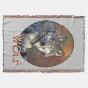 Wolves Gray Wolf Canis_lupus Decke