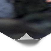 Wolves Gray Wolf Canis_lupus Poster (Ecke)