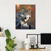 Wolves Gray Wolf Canis_lupus Poster (Heimbüro)