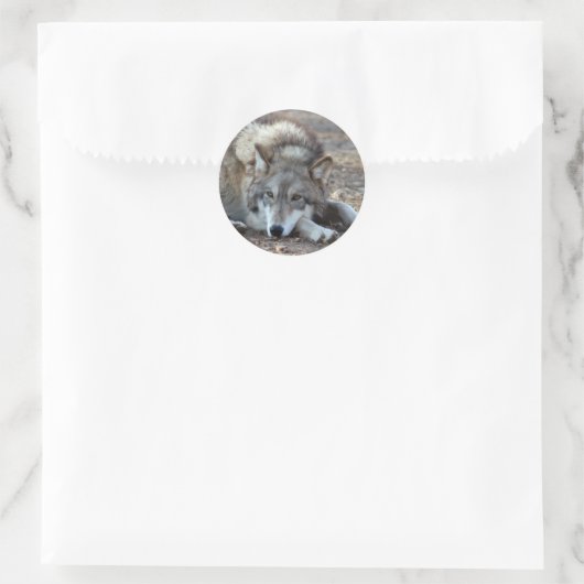 Wolves Gray Wolf Stickers (Tasche)
