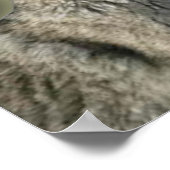 Wolves Howling auf Moon Canvas Print Poster (Ecke)