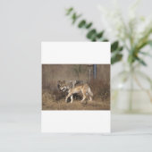 WOLVES POSTKARTE (Stehend Vorderseite)