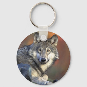 Wolves Schlüsselanhänger