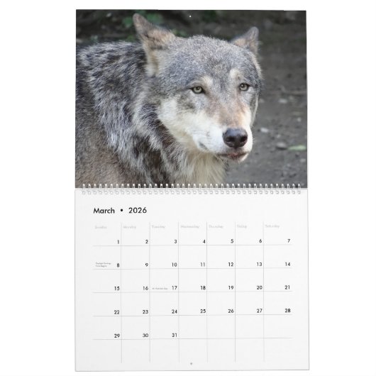 Wolves Wolf thematisierte Mauerkalender 2025 Kalender (Mär 2026)
