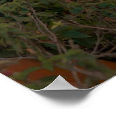 Woman In Orange Bikini By Tropical Palm Tree Poster (Ecke)