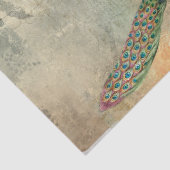Woman Peacock Textures Letter Seidenpapier (Detail)