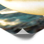 Woman Posing By The Seaside Poster (Ecke)