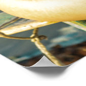 Woman Smiling At The Beach Poster (Ecke)