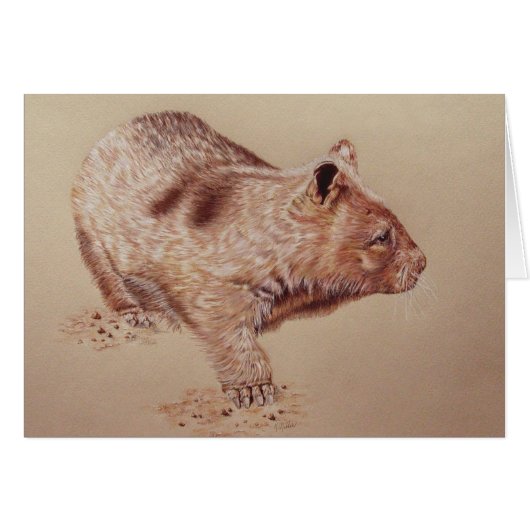 Wombat (Vorderseite (Horizontal))