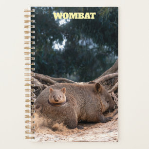 Wombat 2027 Planer