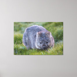 Wombat Animal Wildlife Tasmania Australien Grüne Leinwanddruck