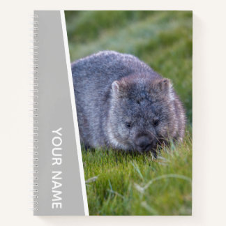Wombat Australia Cute Animal, Silver Notizblock