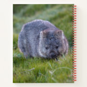Wombat Australia Foto Collage, Red Notizblock (Rückseite)