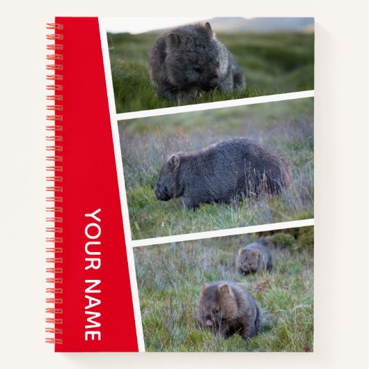 Wombat Australia Foto Collage, Red Notizblock (Vorderseite)