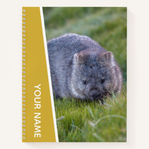Wombat Australia Süße Tier, Gold Notizblock