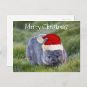 Wombat Australien Rote Weihnachtsmannmütze Frohe W Postkarte (Vorne/Hinten)