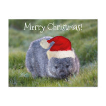 Wombat Australien Rote Weihnachtsmannmütze Frohe W
