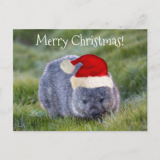 Wombat Australien Rote Weihnachtsmannmütze Frohe W Postkarte (Vorderseite)