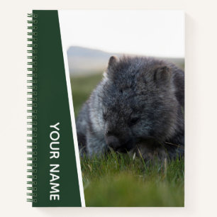 Wombat Australien Süßes Tier Gras essend, Grün Notizblock
