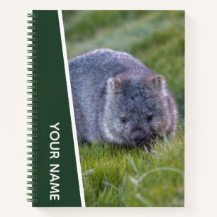 Wombat Australien Süßes Tier, Personalisiert Grün Notizblock