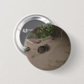 Wombat Button (Vorne & Hinten)
