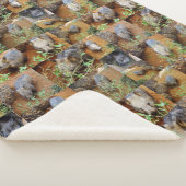 Wombat-FotoCollage, Sherpadecke (3/4)