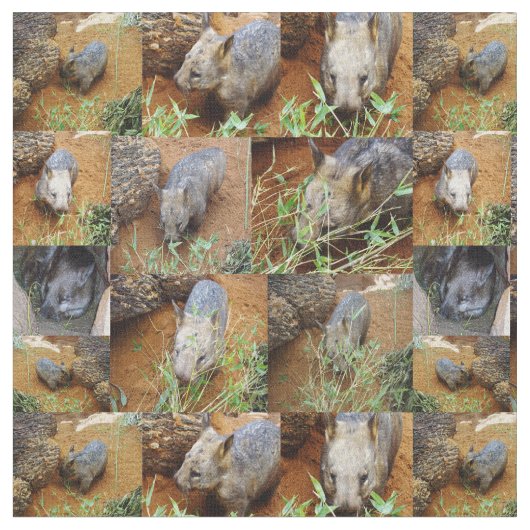 Wombat-FotoCollage, Stoff (Nahaufnahme)