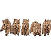Wombat-Geburtstagsfeier Einladung