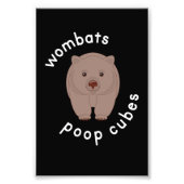 Wombat Kackte Cube Australia Fotodruck (Vorne)
